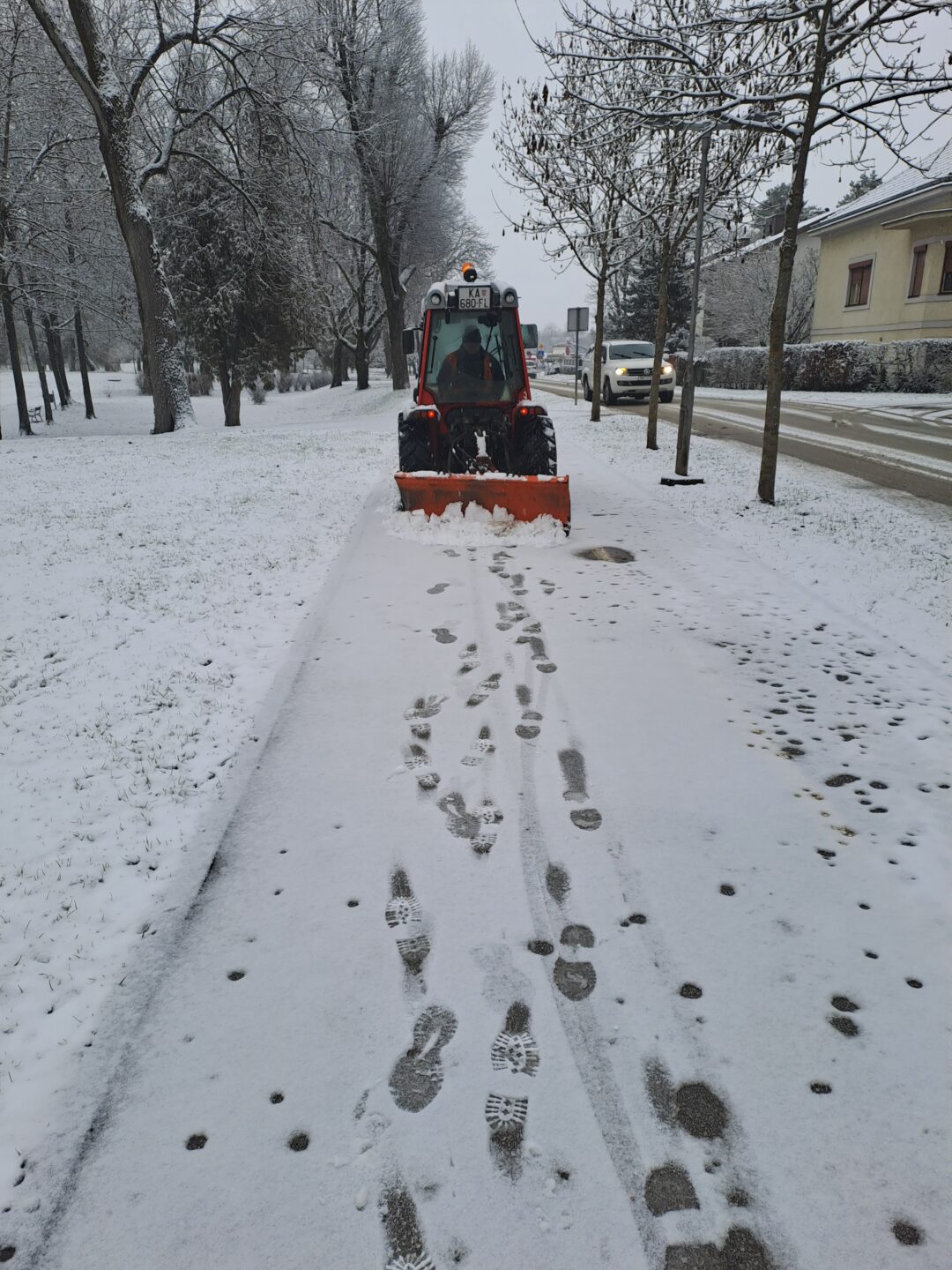 Naslovna - Zelenilo 