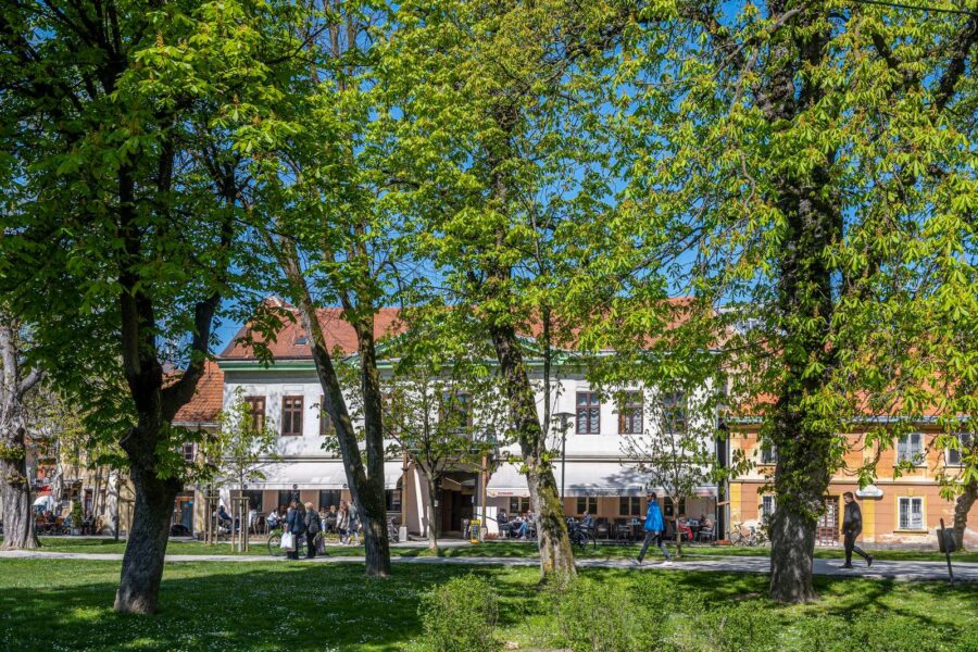 Naslovna - Zelenilo 